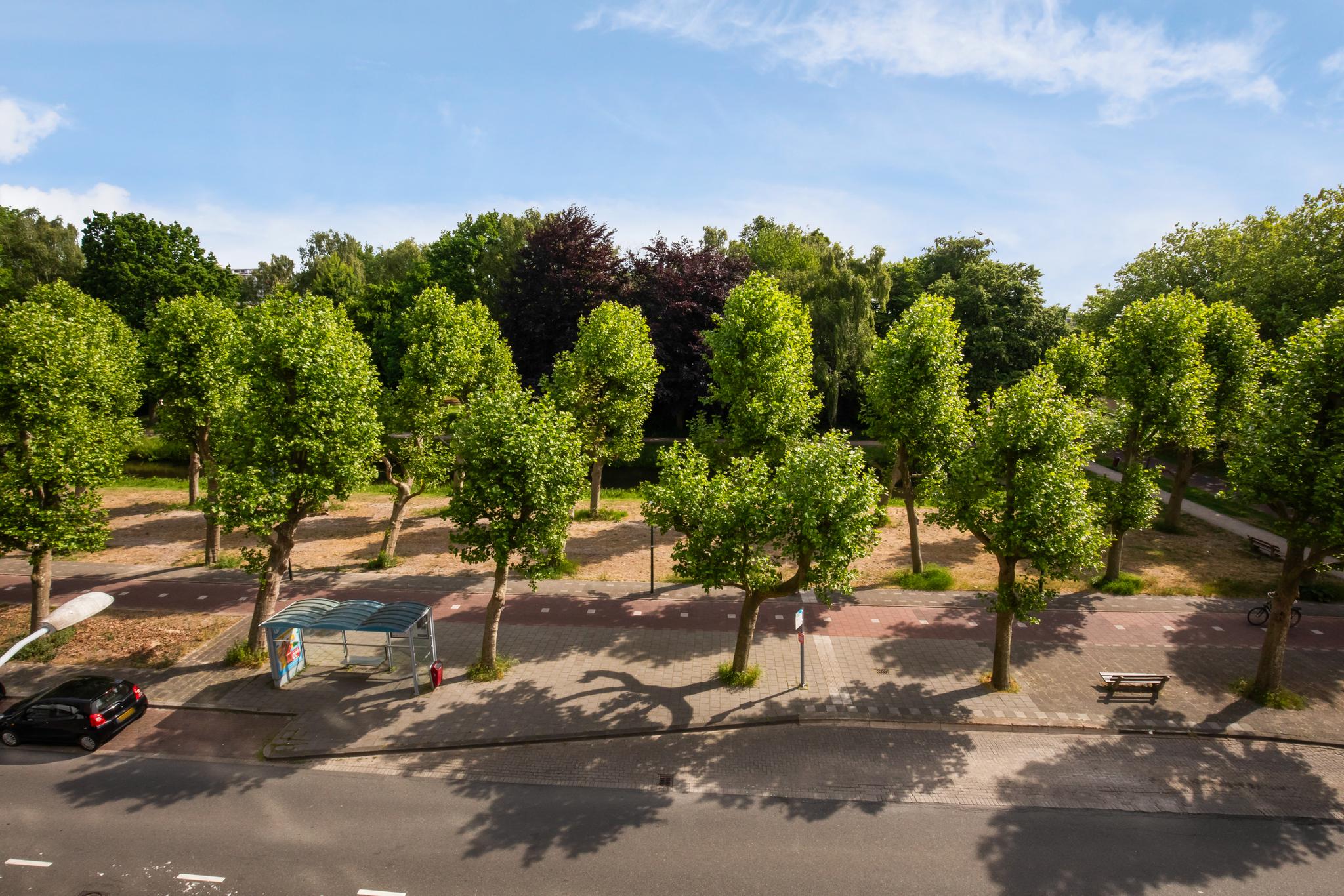 Spinozalaan 37 F, 2273 XC Voorburg 12